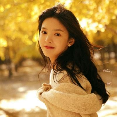 相乐左之助（身份：前赤报队准队士、“恶”字背衣打手） - 经典老电影高清在线观看 - 云端影视